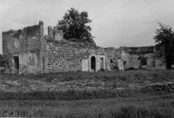 W Dereham Abbey ruins