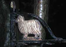 Ram