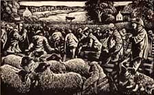 Sheep sale