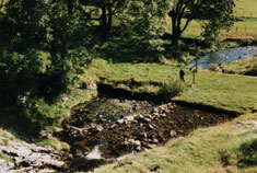 Malham mill ruins