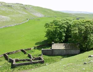 MH ruins