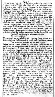 Newspaper article