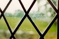 Window