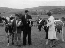 1964